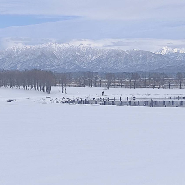 Niigata snowing ⛄️ 