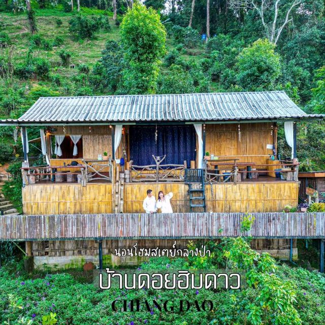 ไปใช้ชีวิตสโลว์ไลฟ์ นอนโฮมสเตย์กลางป่า ราคาหลักร้อย บรรยากาศหลักล้าน พักกายพักใจไปกับธรรมชาติ🍃
