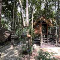 Rebalancing life at Chestnut Hill Eco Resort