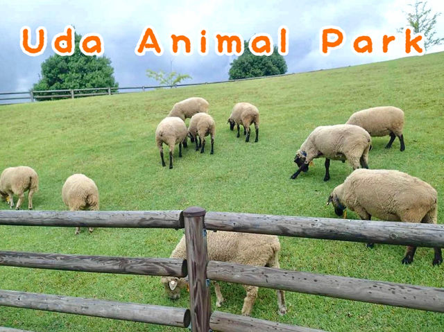 สวนสัตว์เข้าฟรี Uda Animal Park จ.นารา