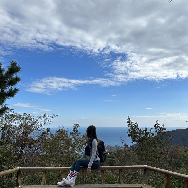 [부산]간단한 트레킹으로 만나는 부산 최고의 전망대 추천🫶🏻