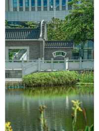 水墨園：廣州的古典園林與藝術綠洲🎨