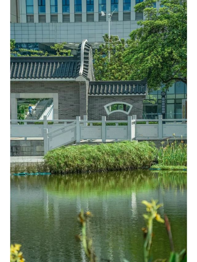 水墨園：廣州的古典園林與藝術綠洲🎨