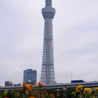 「隅田川步道」：淺草至晴空塔最快散步路線，日本必去打卡點