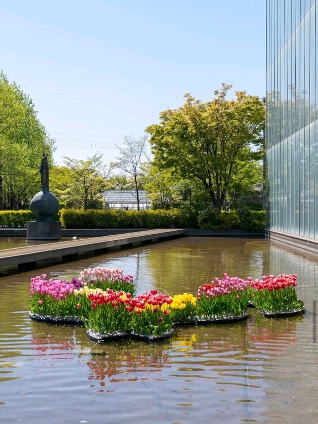 Tonami Tulip Park