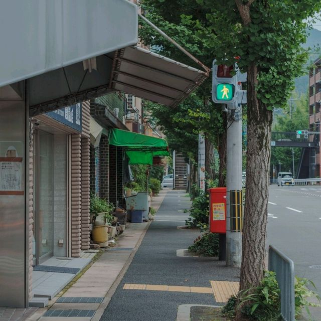 울창한 대나무숲, 평화로운 분위기의 마을, 교토 아라시야마