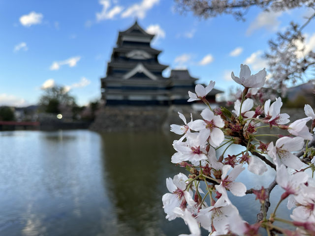 長野・松本。国宝『松本城』   