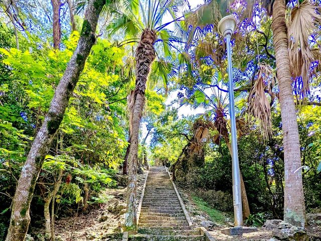 Yaeshima Park