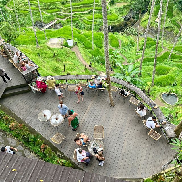 【インドネシア/バリ】ウブドの大人気観光スポット「テガララン ライステラス」