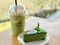 “ไร่ชาฉุยฟง” ไร่ชาและคาเฟ่ขนาดใหญ่ จ.เชียงราย