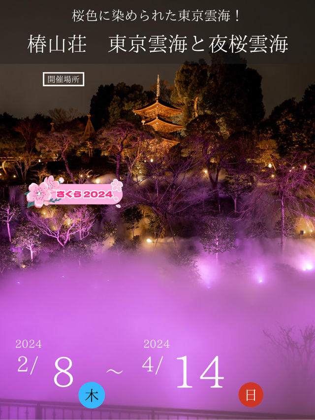 【春色に染められた雲海！☁️】椿山荘の桜雲海が幻想的すぎる🌸✨