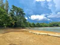 Fossil Shell Beach