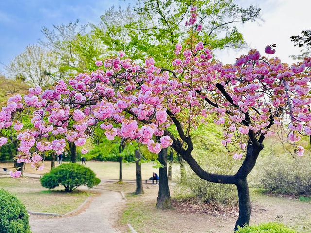 Seoul Children's Grand Park 