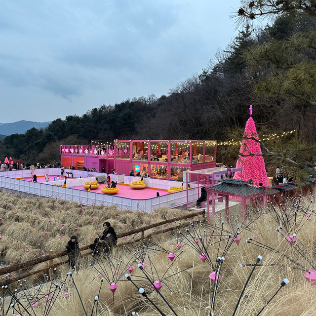 핑크 가득 서울 근교 인생샷 명소🩷