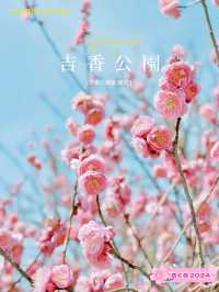 【岩国】春はのんびり気持ちいい吉香公園へ🌸