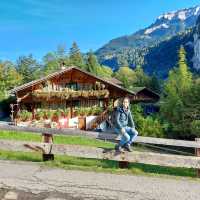 Peak View Adventure⛰️