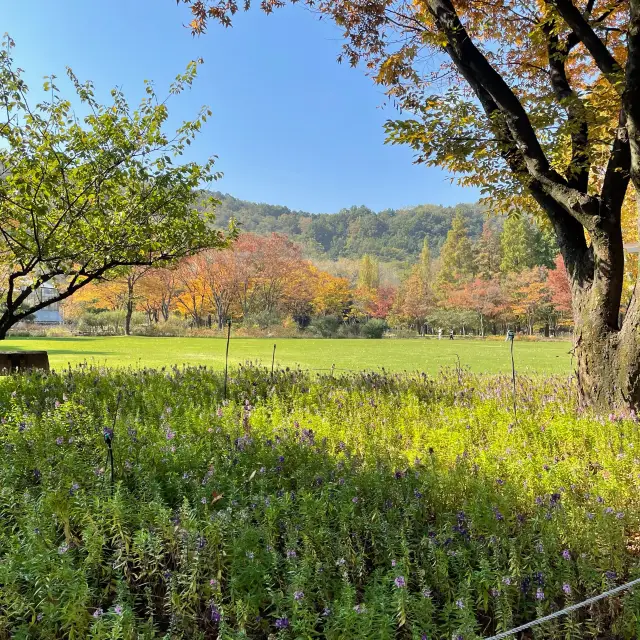 봄꽃보러 대구 수목원으로 가요~🌸