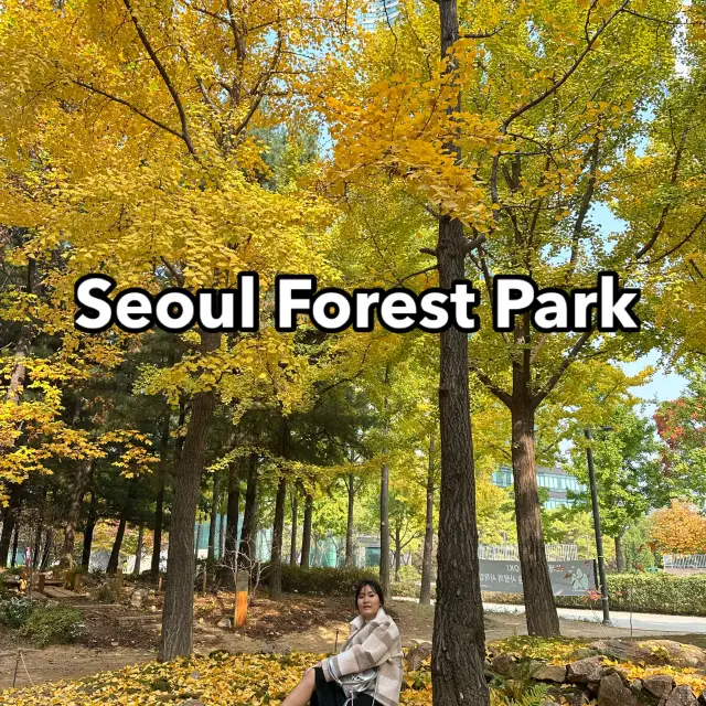 Seoul Forest Park☘️🍃