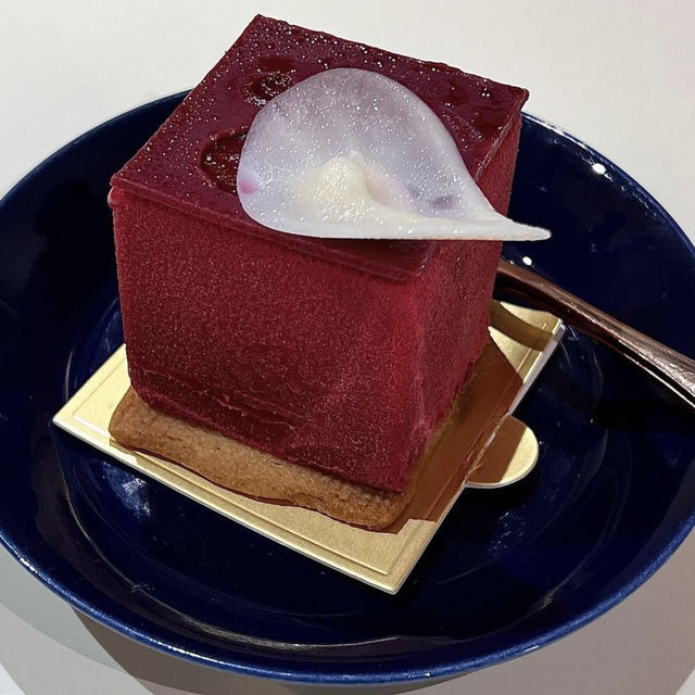 🩵🍰 𝑩𝒀𝑶𝑵 𝘤𝘰𝘧𝘧𝘦𝘦 𝘣𝘢𝘳🍹🫐