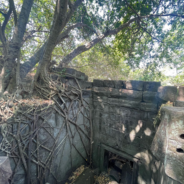 カンボジア 遺跡巡り