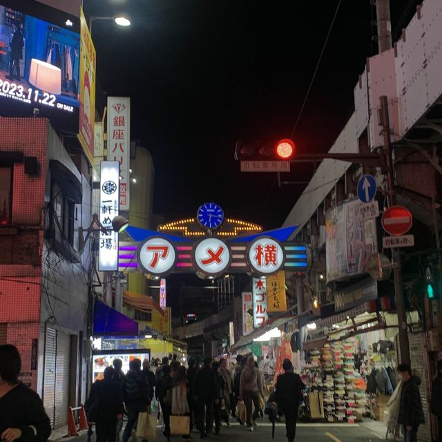 도쿄도심에 피크닉하기! 우에노공원/미술관/동물원/아메요코쵸