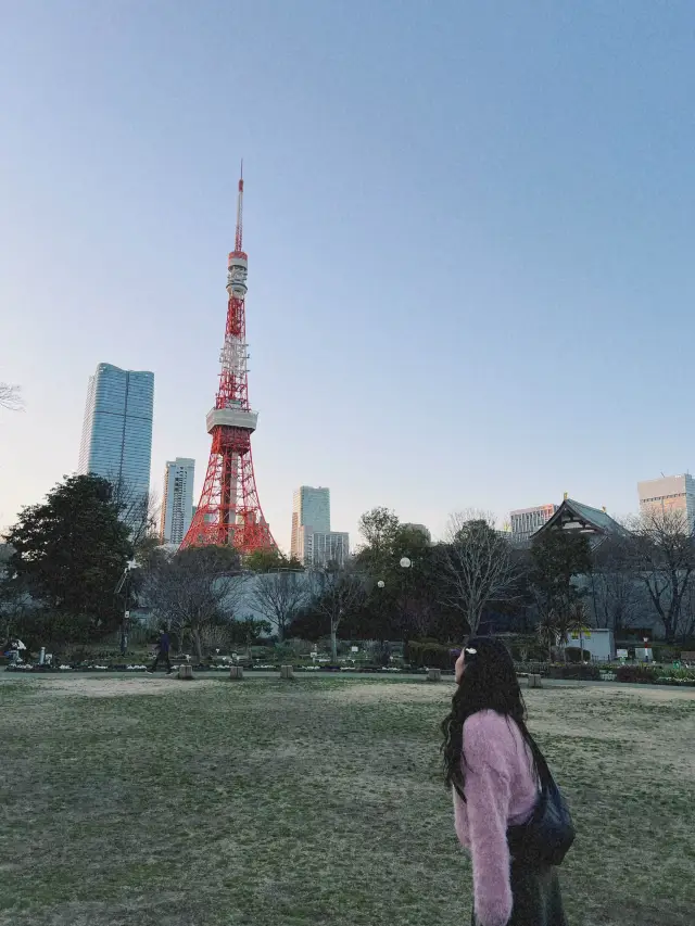 도쿄타워를 가까이서 볼 수 있는 도쿄 시바 공원🗼