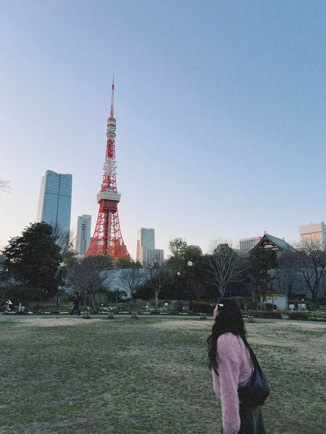 도쿄타워를 가까이서 볼 수 있는 도쿄 시바 공원🗼
