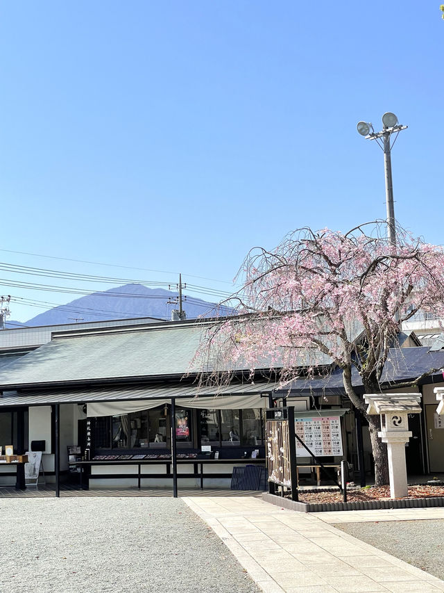 【伊勢原大神宮/神奈川県】桜咲き乱れる旧伊勢原村の鎮守