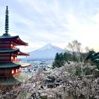 新倉富士淺間神社