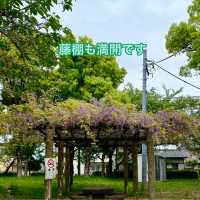 歴史探訪　乙川白山公園