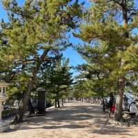 【厳島神社】海上に神秘的に建っている神社⛩️