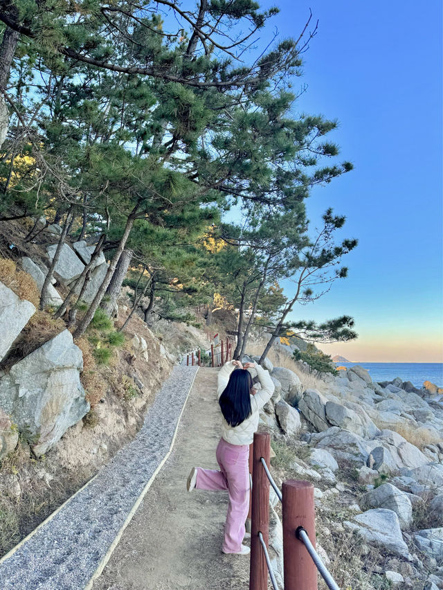 영덕으로 떠나야하는 이유 🩵