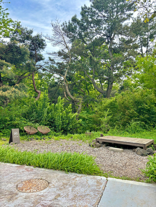 청보리밭에서 폴라로이드를 찍을 수 있는 경주여행🍃💚