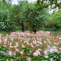 「東京江戶川區自然動物園：原始自然之美與動物保護的獨特景點」