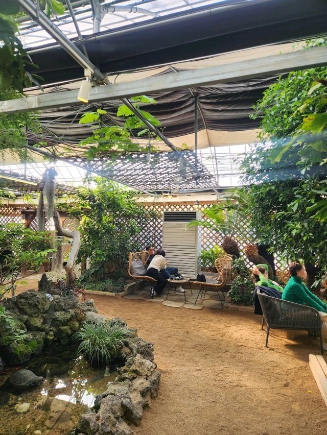 대형식물원을 품은 김해의 카페, 알베로