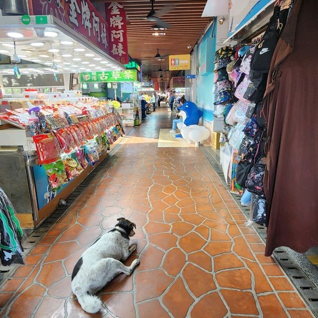 旗律島一日遊