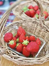 【淡路島】いちごを見上げながらピクニック『GREENARIUM』🍓
