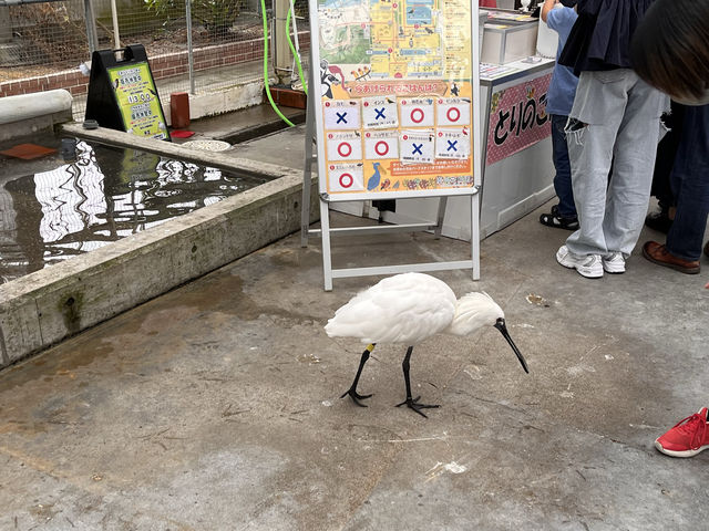 掛川花鳥園@静岡🐥