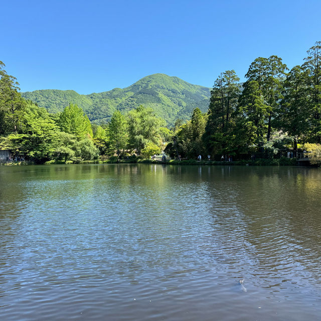 湯布院·CP值高的選擇良旅居