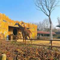 深圳野生動物園：珍稀動物
