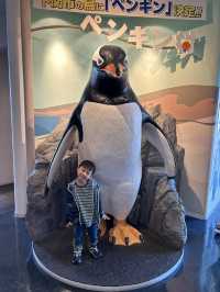 【 免費與海豚互動。水族館•海響館 】