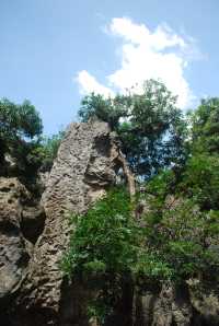 Stone Forest, The Wonder under the Heaven