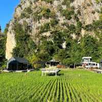 หุบป่าตาด จ.อุทัยธานี 🌳