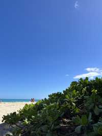 【定番のビーチスポット】ホノルル🌺カイルアビーチ🏖️