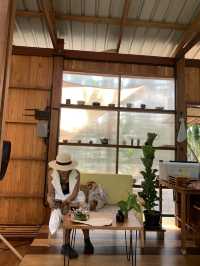 ย้อนเวลาไปคาเฟ่แปดริ้ว☕️