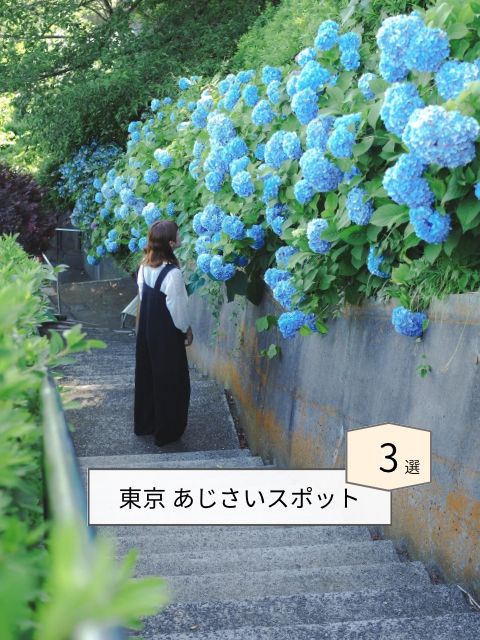 【東京】紫陽花おすすめスポット3選𓂃 𓈒𓏸❁⃘