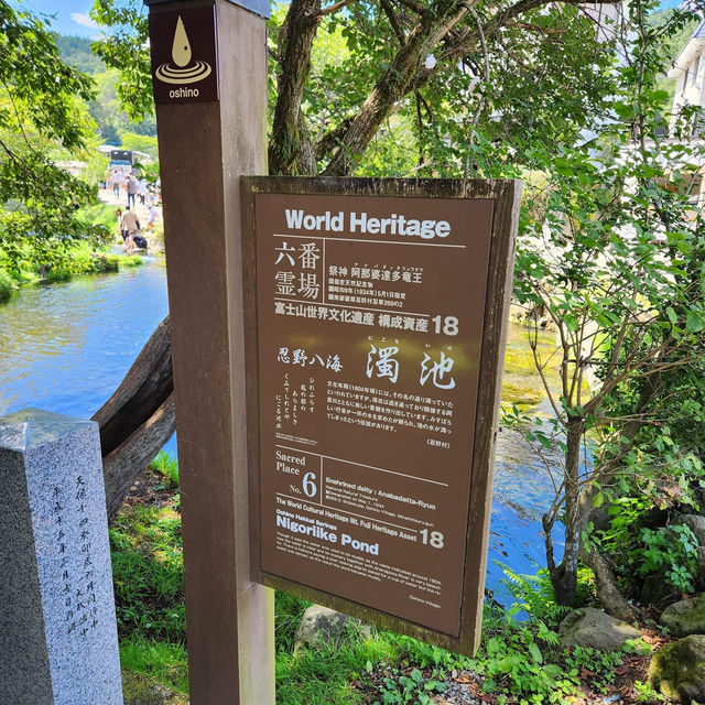 Serene Escape: Exploring Oshino Hakkai's Natural Beauty