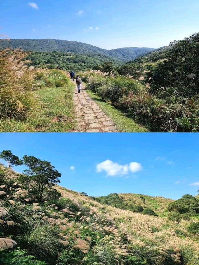 One of the The Easiest Hiking Trails in Yangmingshan