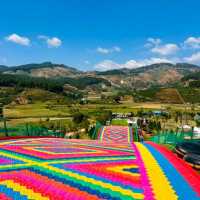 Dalat Delights: Exploring Vietnam's Hidden Gems