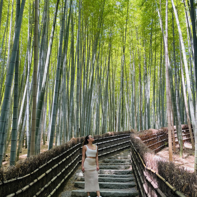 Kyoto City 